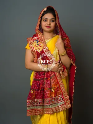 Latest Georgette Marwadi Broach stole